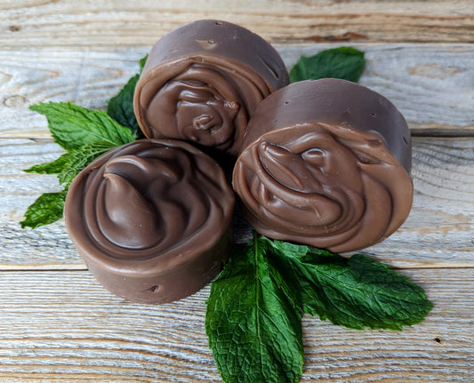 Mocha Mint Mud Pie Soap